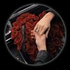 nada_ali651