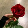 maysam678gmail.com