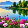 ahmed.alkabir6