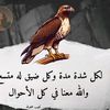 mahmoudk229