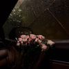 hony.4