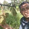 imanuddinjani