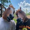 horsemaskdudes