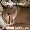 iago1117