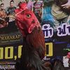 phang.220432