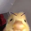 _thquynh_1
