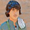barki398