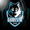 arelgubesta16_3