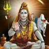 selvan282