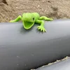 slip_adventures1