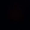 pasti_upal29