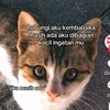 rendi_01renss