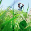 mdshajalal58