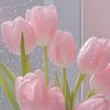 april_apri.lll