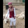 haroonrindbloch04