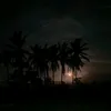nabilang25