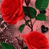 user4xrdhsrd90