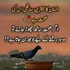 user7614467391968