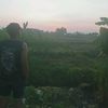 mass_e76