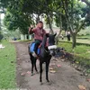 apepridwan4655