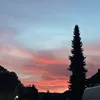 artemstarchenko777