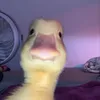 yoitsmedark6