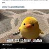 tommyboy_84