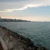 paubeda_02