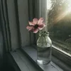 anhsangnho259