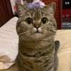 usersr8sshk6iy