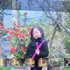 havyy_ntw