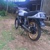 fadel8787