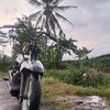alvianaii21