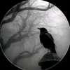ahmad.zaxoy12