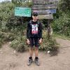 dendwyy | web developer