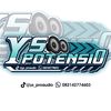 YS-potensio