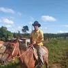 waldineialvez