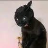 sal.vy0