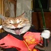 n1njacat_0