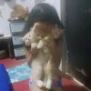 ukilasso_jr
