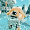 random.tips.for.us