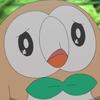 rowletgroovy