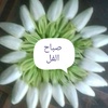 filkhalid103