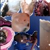 nahomy_0980