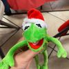 chunges_5