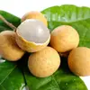 longan_love_suanna
