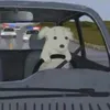 elgucci766