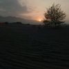 _zll.com