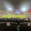 carlo_444555