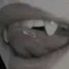 ash_miaus2